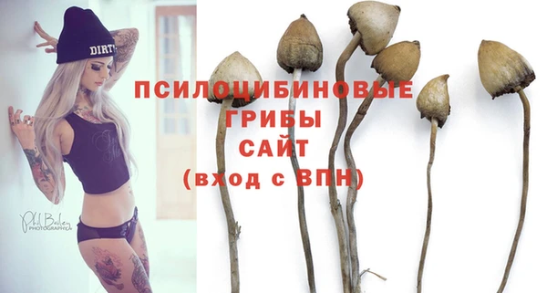 спиды Армянск